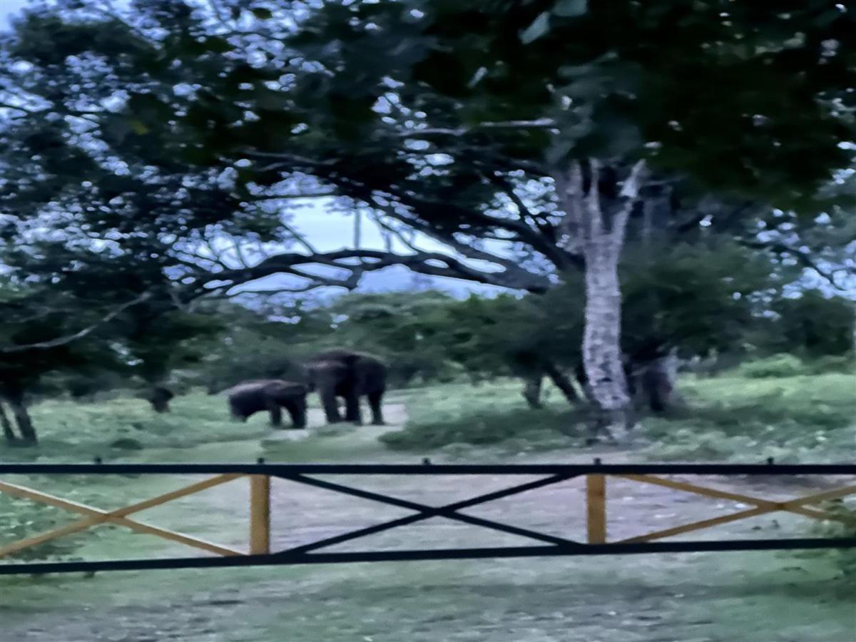 The Wild Farms By Gwestai Villa มาสินากุดี ภายนอก รูปภาพ